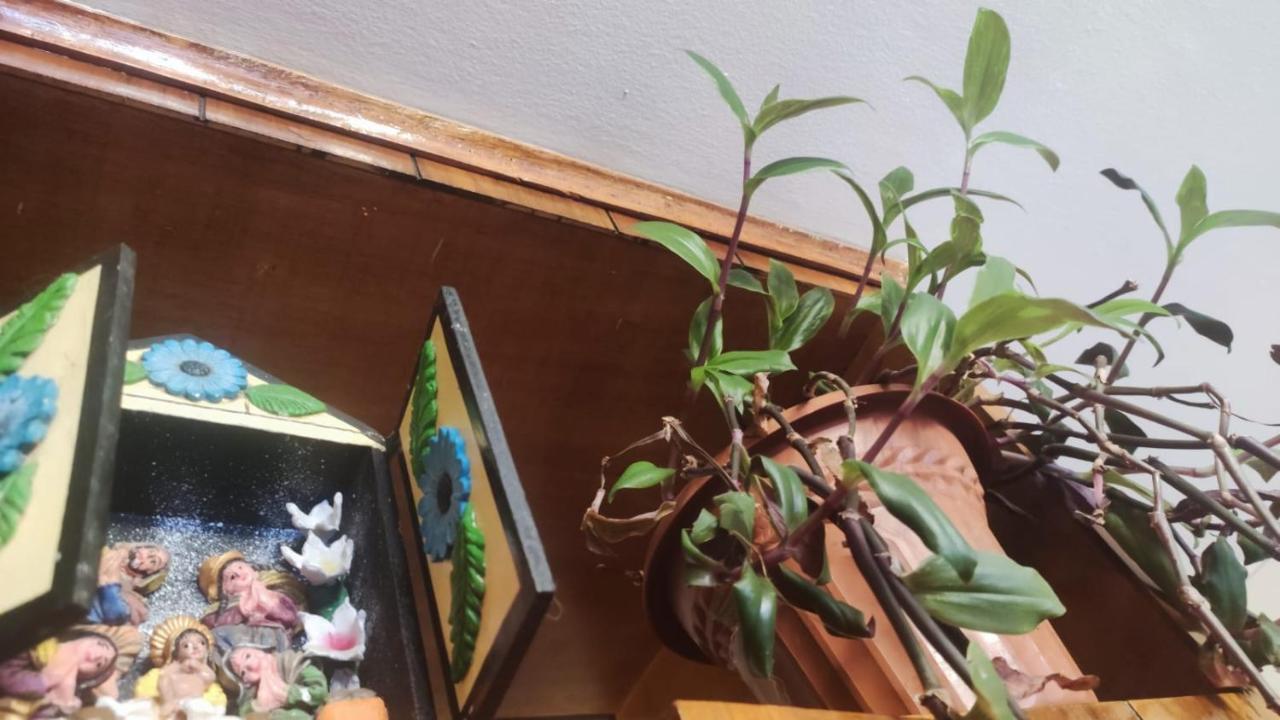 Brizio Guest House Cuzco Zewnętrze zdjęcie