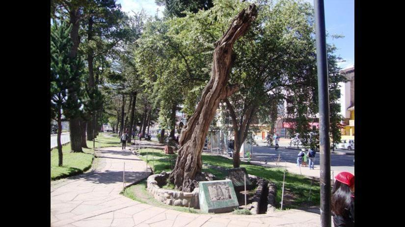 Brizio Guest House Cuzco Zewnętrze zdjęcie